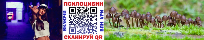 Галлюциногенные грибы Psilocybe  Валуйки 